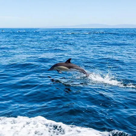 In Downtown - Serenity * Албуфейра