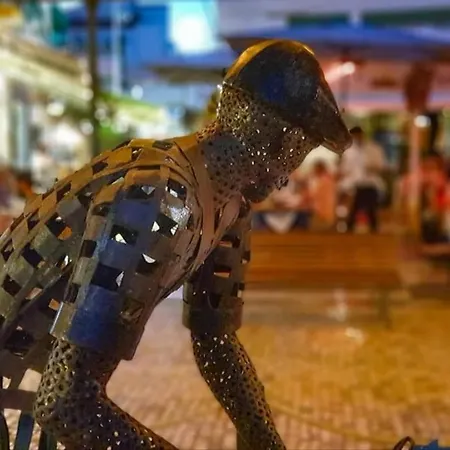 In Downtown - Serenity بيت ضيافة البوفيرا