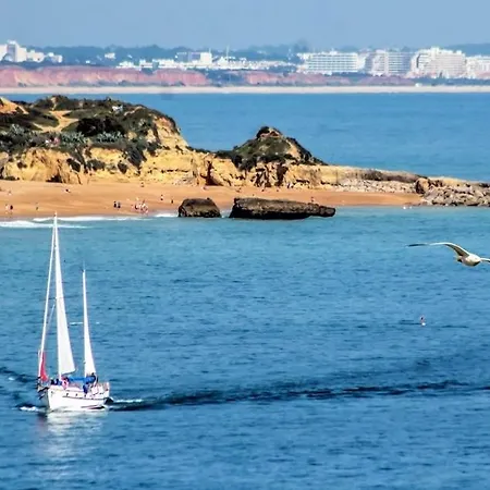 In Downtown - Serenity ゲストハウス