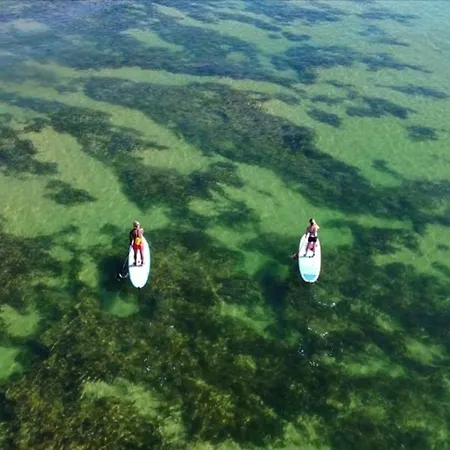 In Downtown - Serenity بيت ضيافة *