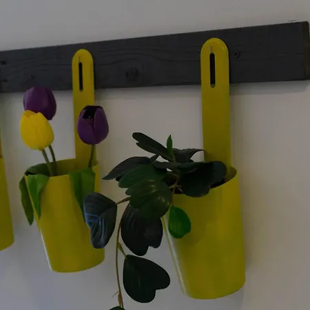 In Downtown - Serenity アルブフェイラ