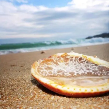 Vendégház In Downtown - Serenity *