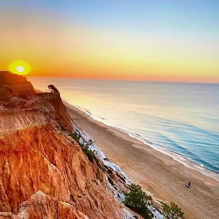 In Downtown - Serenity